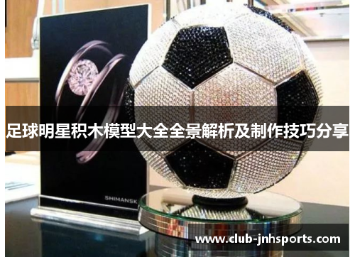 足球明星积木模型大全全景解析及制作技巧分享